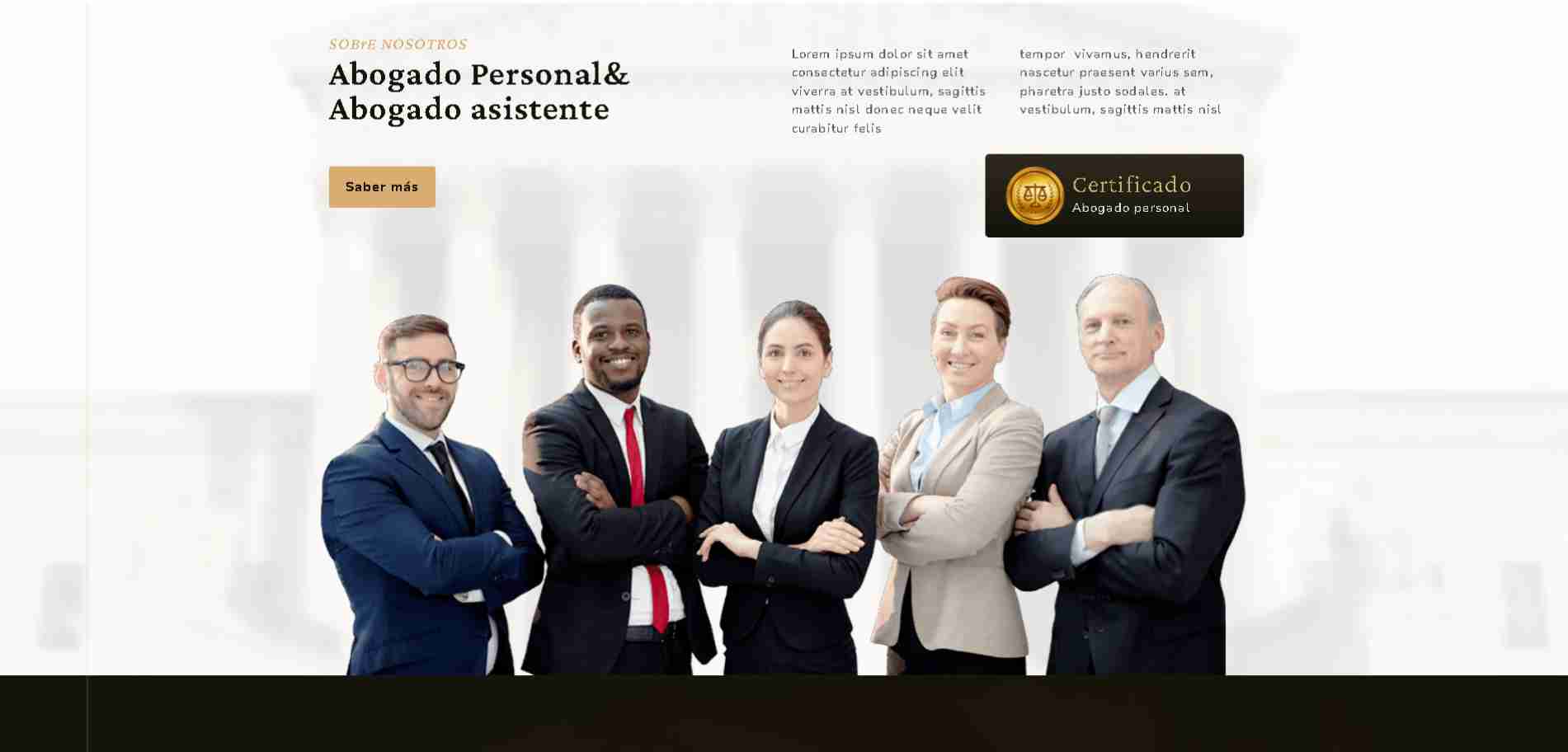 Profesional de Alto Nivel