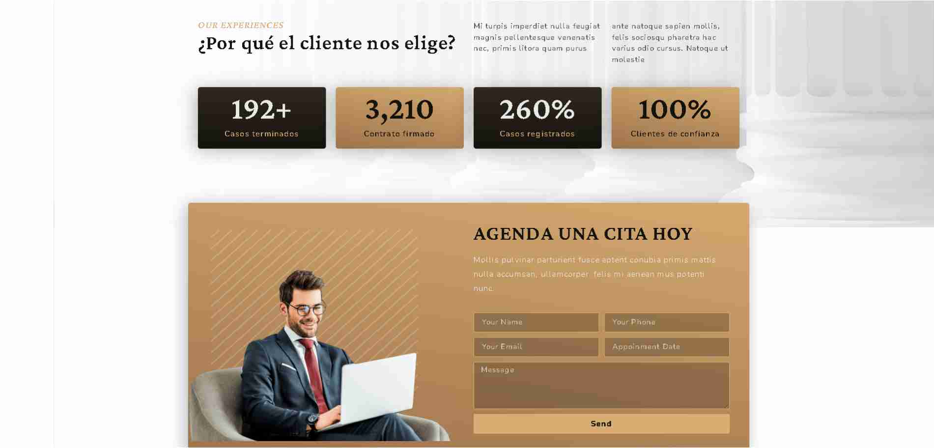 Profesional de Alto Nivel